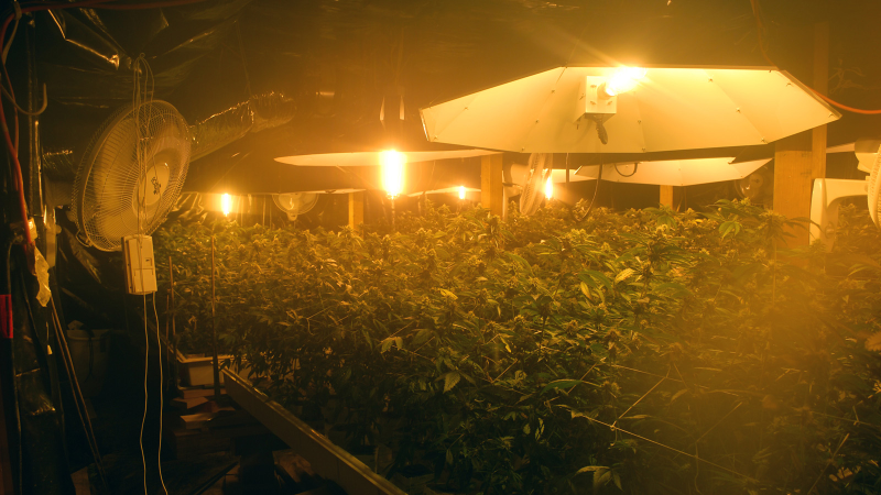 Illustration for article titled 14 High-Tech Farms Where Veggies Grow Indoors
